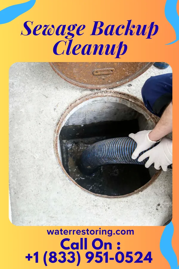 Sewage Backup Cleanup in Lake Quivira, KS